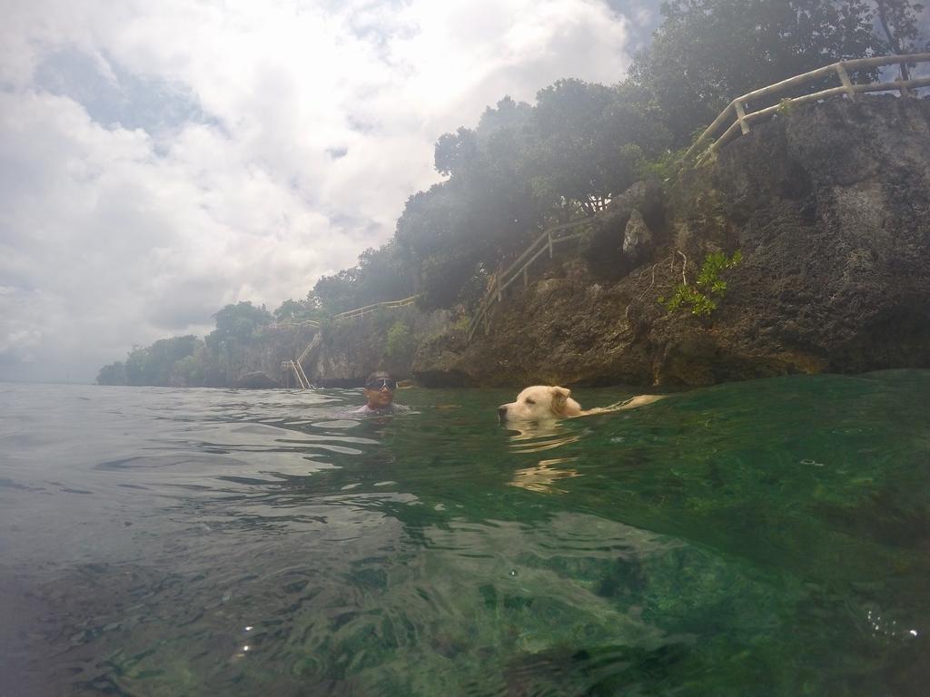 Alexis Cliff Dive Resort Panglao Exterior foto