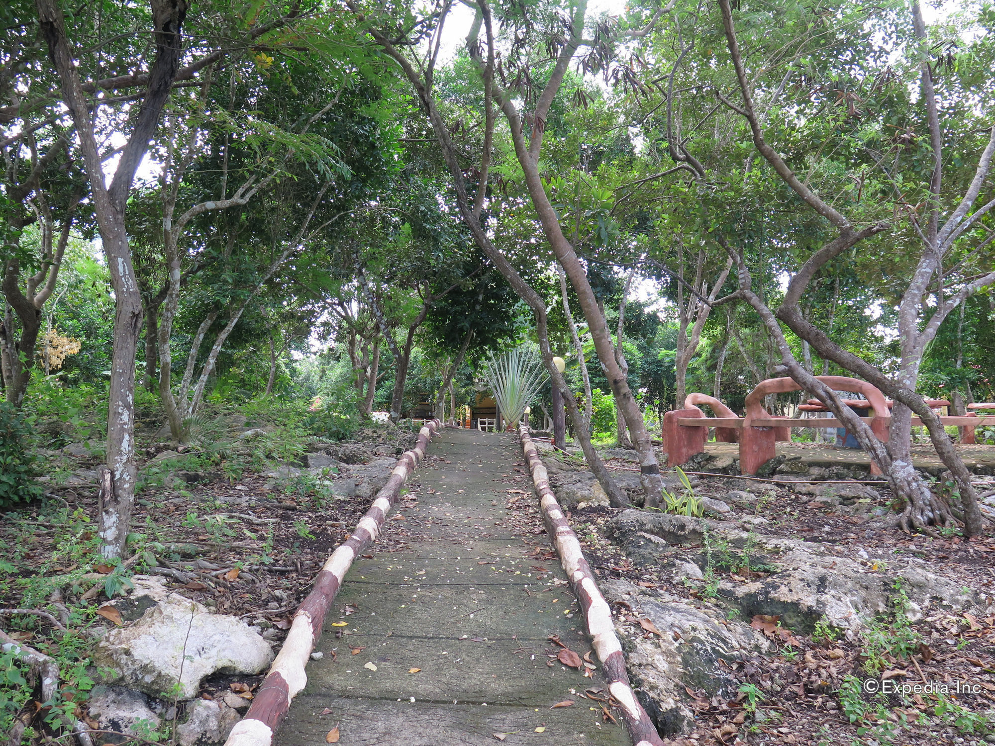 Alexis Cliff Dive Resort Panglao Exterior foto